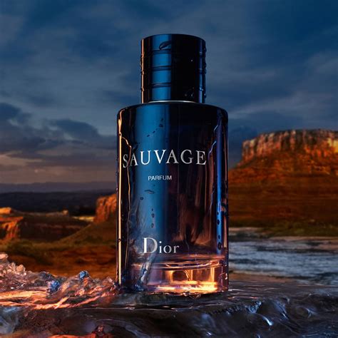 cheap version of dior sauvage|dior sauvage price 100ml.